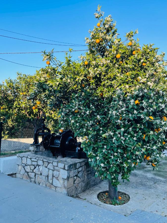 Citrus Garden Villa Epidaurus Exterior photo