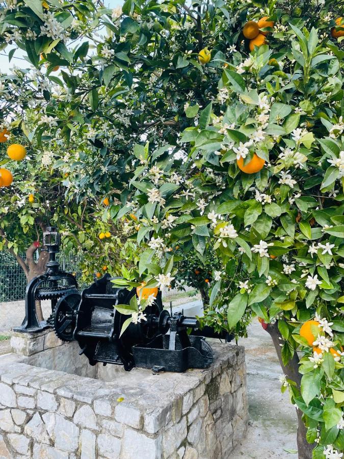 Citrus Garden Villa Epidaurus Exterior photo