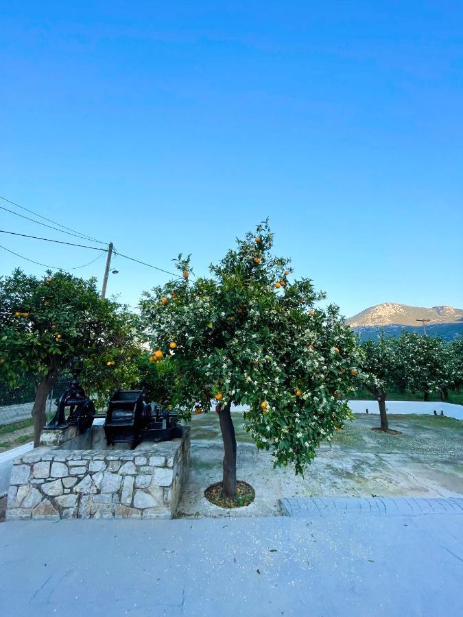 Citrus Garden Villa Epidaurus Exterior photo