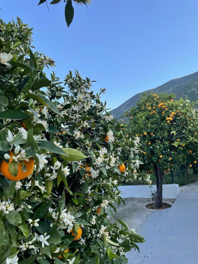 Citrus Garden Villa Epidaurus Exterior photo