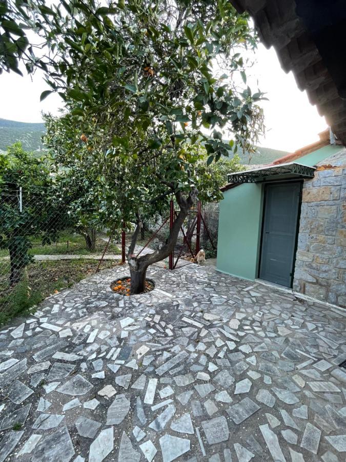 Citrus Garden Villa Epidaurus Exterior photo